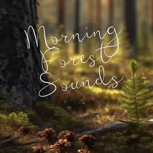 Morning Forest Sounds - 101 Nature Sounds