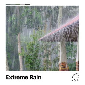 Extreme Rain - Rain is my Life