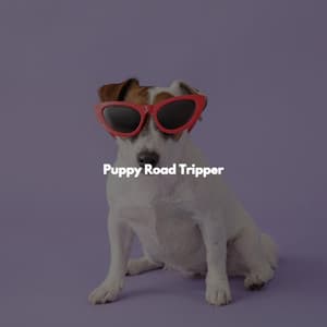 Puppy Road Tripper - Good Morning Jazz Cafe