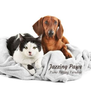 Jazzing Paws: Piano Petting Paradise - Jazz and Java