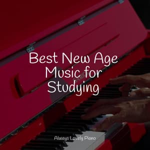 Best New Age Music for Studying - Piano para Relaxar