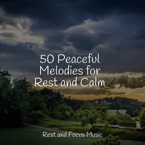 50 Peaceful Melodies for Rest and Calm - Relaxation Music Guru