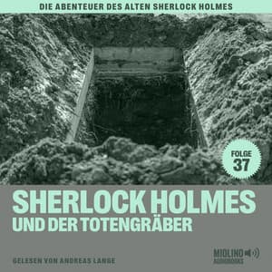 Sherlock Holmes und der Totengräber - Der alte Sherlock Holmes