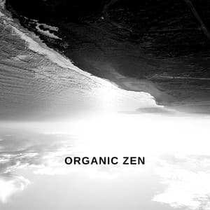 Organic Zen - Yoga Tribe