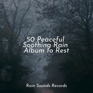 50 Peaceful Soothing Rain Album to Rest - Musica de Relajación Academy