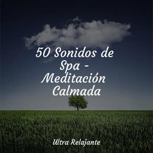 50 Sonidos de Spa - Meditación Calmada - Canciones Infantiles de Niños