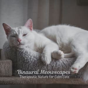 Binaural Meowscapes: Therapeutic Nature for Calm Cats - Nature Soundzzz Club