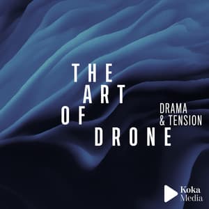 The Art of Drone - Tension & Drama - Brice Davoli