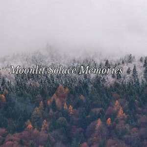 Moonlit Solace Memories - Eon Wilder
