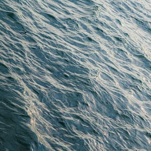 100 Wavelengths: Vital Bloom - Nature Sound Collection