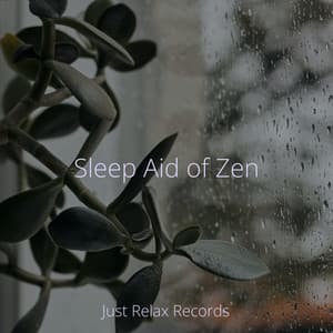 Sleep Aid of Zen - Ambiente