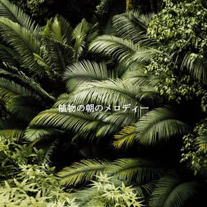 植物の朝のメロディー - New York Deluxe Dinner Jazz