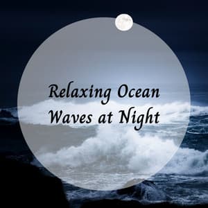 Relaxing Ocean Waves at Night - Sleeping Ocean
