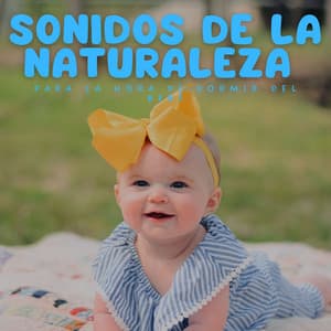 Sonidos De La Naturaleza Para La Hora De Dormir Del Bebé - Colección de sonidos de la naturaleza