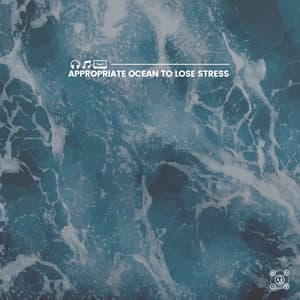 Appropriate Ocean to Lose Stress - Relaxing Sea Sounds