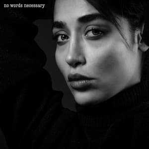 No Words Necessary - Chill Music House