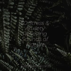 50 Stress & Anxiety Relieving Sounds of Nature - Yoga Namaste