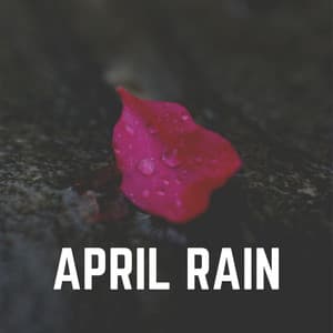 April Rain - Natsound