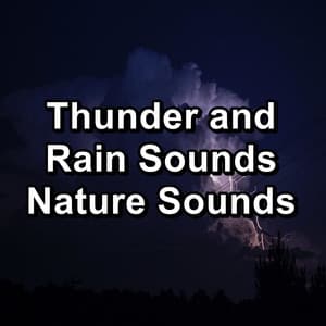 Thunder and Rain Sounds Nature Sounds - Deep Sleep Music Experience