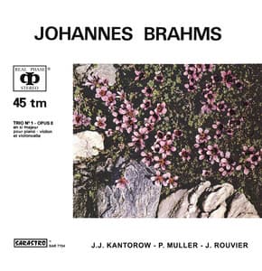 Johannes Brahms: Piano Trio No. 1 in B major, Op. 8 - Johannes Brahms