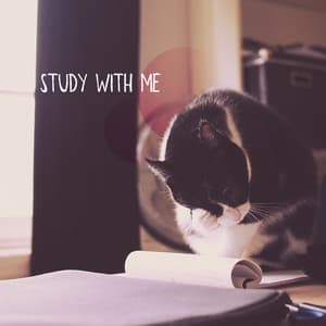 Study with Me - Exam Study Music Academy