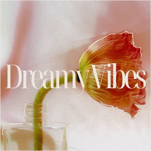 Dreamy Vibes: Jazz for the Modern Soul, Smooth - Relaxing 'n' Smooth Jazz