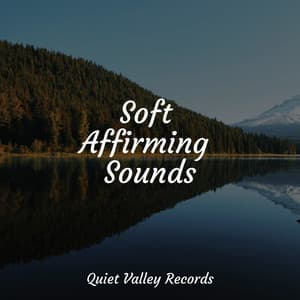 Soft Affirming Sounds - Sleep Waves