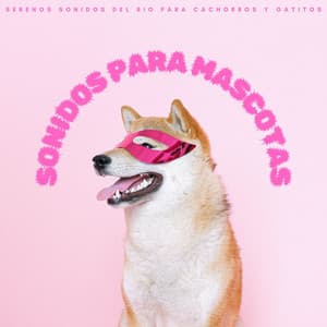 Sonidos Para Mascotas: Serenos Sonidos Del Rio Para Cachorros Y Gatitos - Música para mascotas