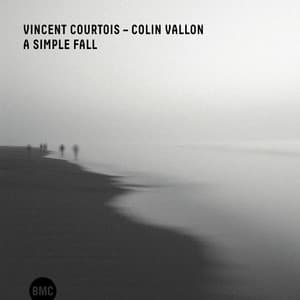 A Simple Fall - Vincent Courtois