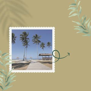 Music for Refreshing Spring - Musica para Estudiar Playlist