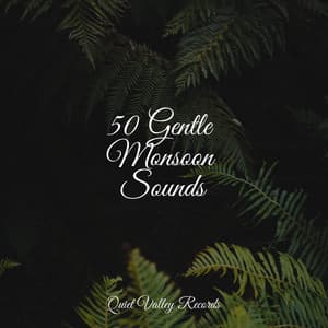50 Gentle Monsoon Sounds - Study Concentration