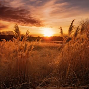 Nature's Golden Hour Binaural Harmony - 741 Hz Solfeggio Tones