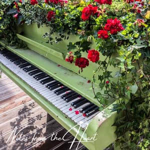 Notes from the Heart - Study Music And Piano Music