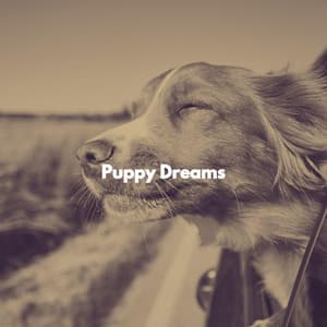 Puppy Dreams - Dogs at Home