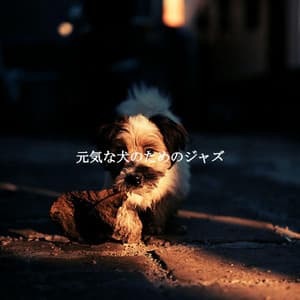 元気な犬のためのジャズ - Coffee Lounge Instrumental Jazz