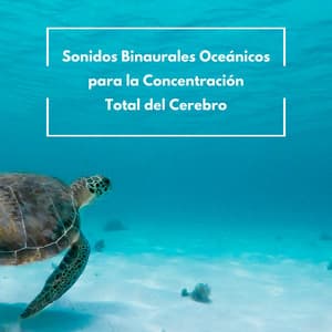 Sonidos Binaurales Oceánicos Para La Concentración Total Del Cerebro - Sonidos de la Naturaleza Relax