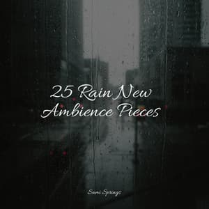 25 Rain New Ambience Pieces - Classical Study Music