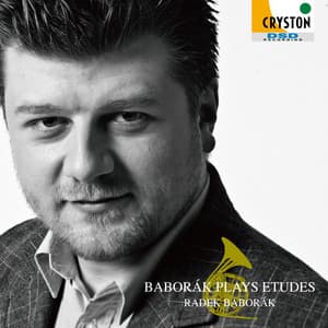 第8番 「春の祭典」のリズムによる - Radek Baborak