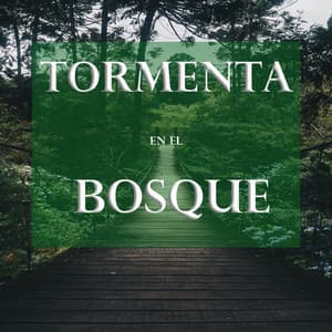 Tormenta en el Bosque - Cascada de Lluvia