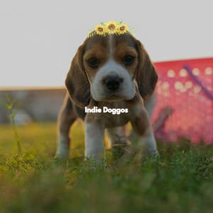 Indie Doggos - Alegre Trabajar desde Casa