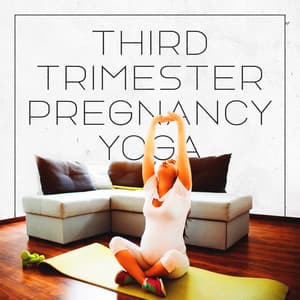 Third Trimester Pregnancy Yoga - Prenatal Yoga Music Academy