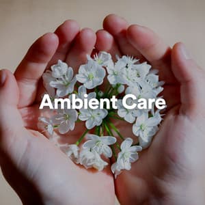 Ambient Care - Meditation Music Club