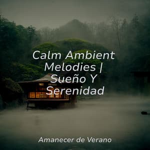 Calm Ambient Melodies | Sueño Y Serenidad - New Age