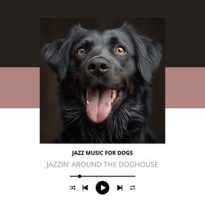 Jazzin’ Around the Doghouse - Jazz Music for Dogs