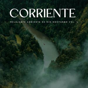 Corriente: Relajante Ambiente De Río Nocturno Vol. 1 - Sonidos de agua dulce