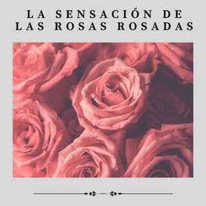 La Sensación de las Rosas Rosadas - Meditación Con Ruido Rosado