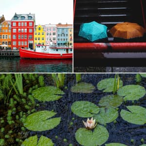 Music for Rainy Aprils - Música Chill para Cafés