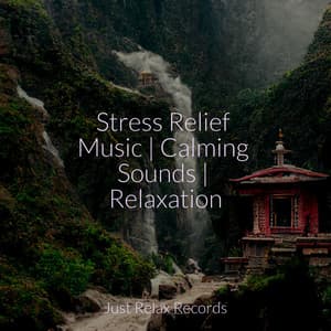 Stress Relief Music | Calming Sounds | Relaxation - Kinderliederbande