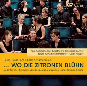 Wo die Zitronen blühn: Lieder bearbeitet für Chor und Klavier - figure humaine kammerchor
