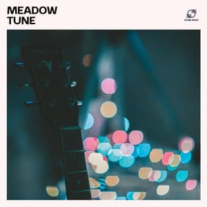 Meadow Tune - Guitar